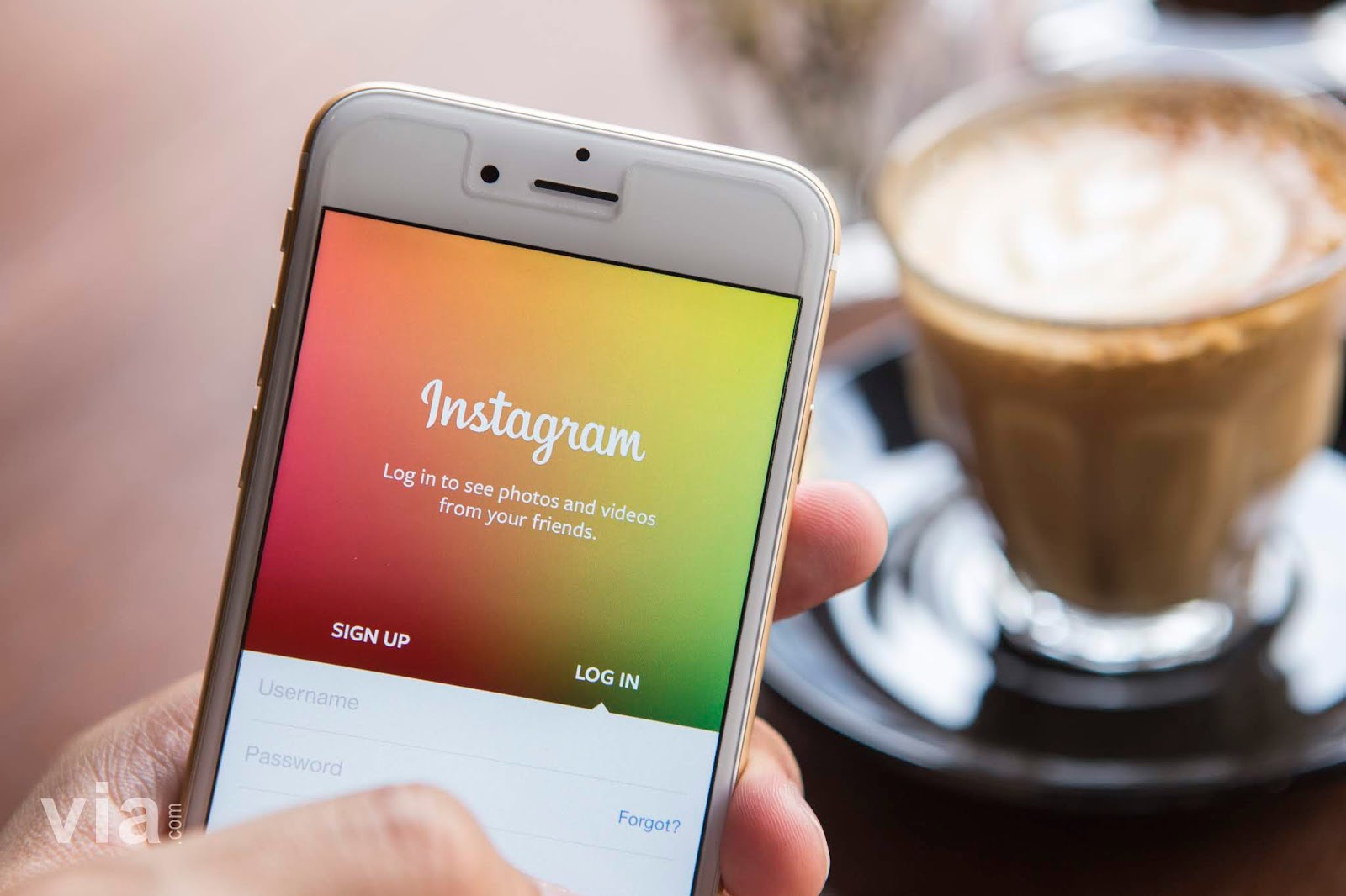 5 Kriteria Iklan Instagram yang Ideal, Apa Sajakah Itu?