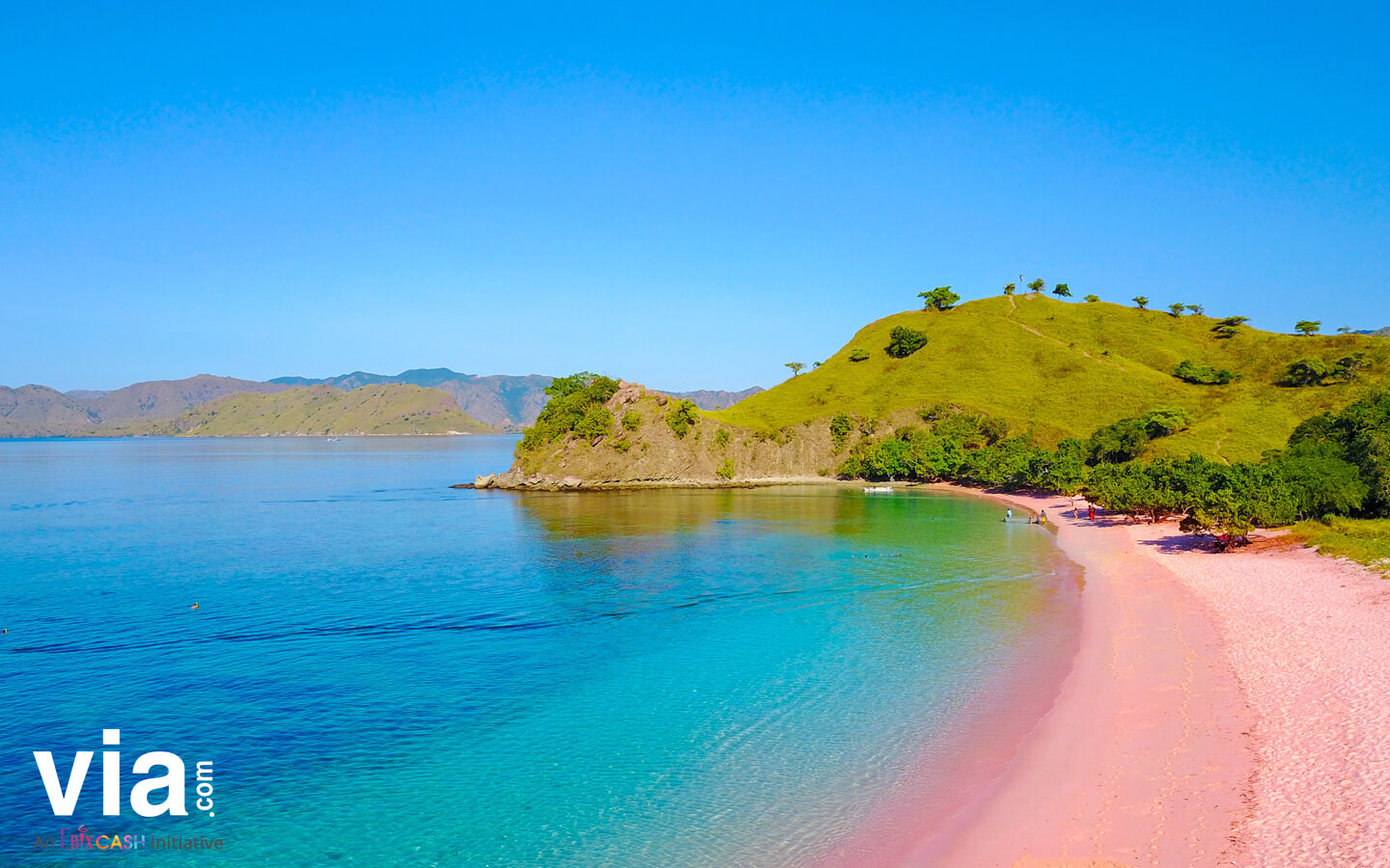 Cantiknya Pink Beach di Pulau Komodo