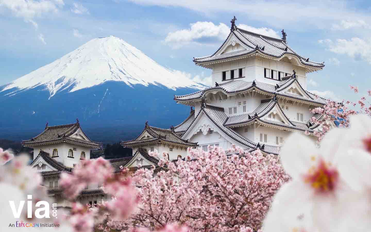 Kastil dan Kuil yang Wajib Dikunjungi Kala Berlibur ke Jepang