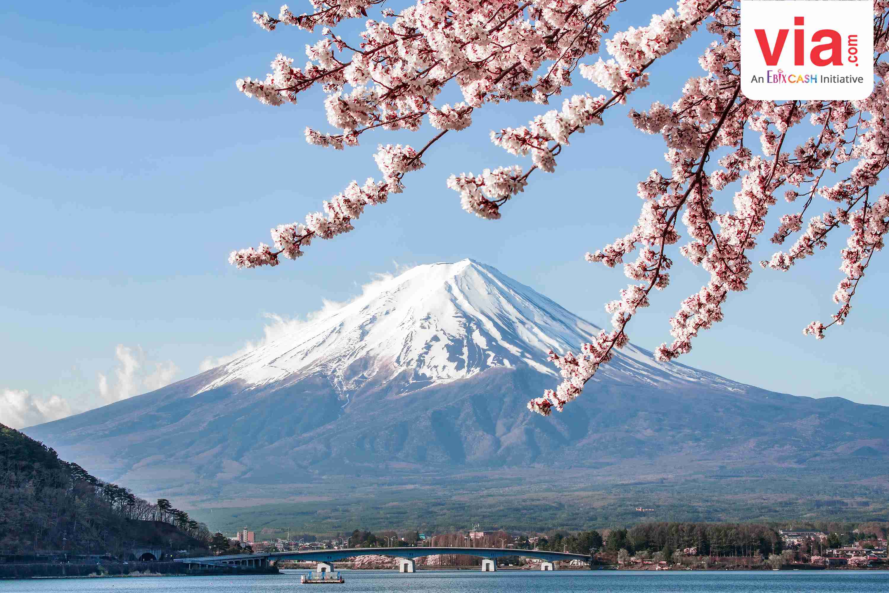 Toyohashi, Titik Mula untuk Nikmati Indahnya Gunung Fuji di Jepang