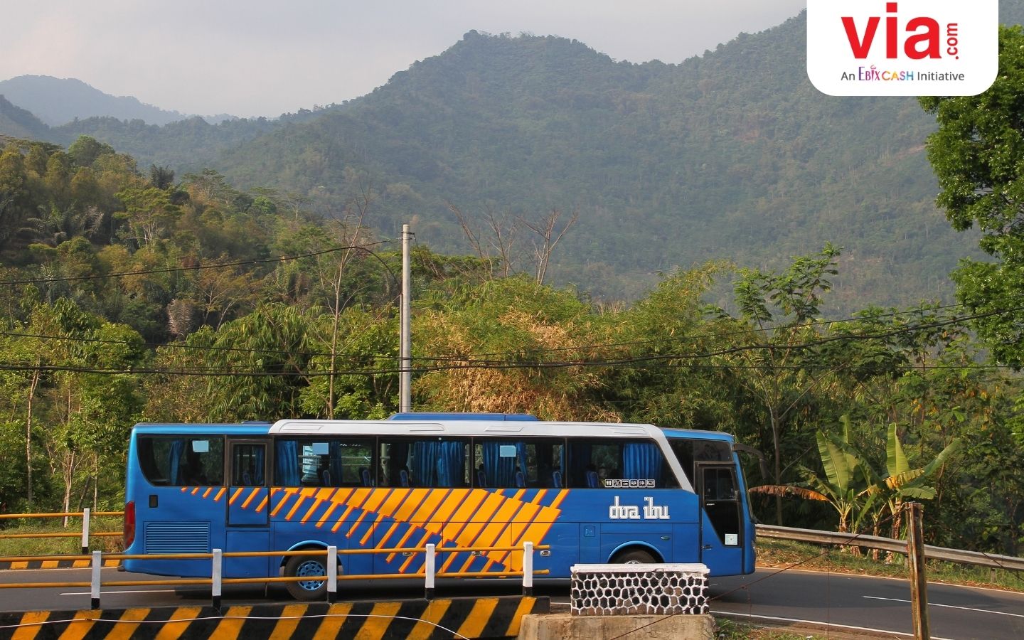 Kenalan dengan 3 PO Bus Terbesar di Indonesia