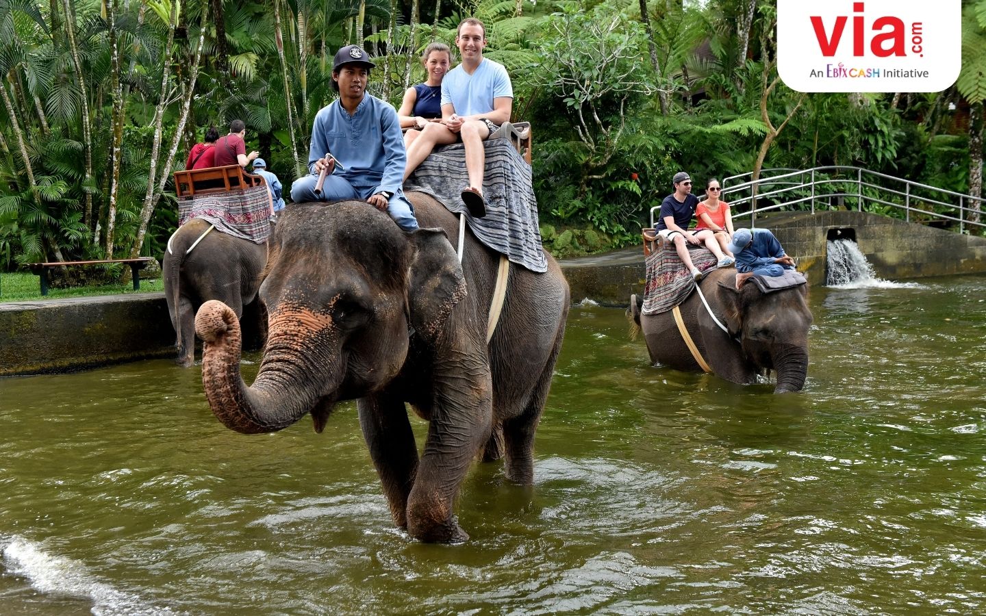 Bali Zoo atau Bali Safari: Mana yang Lebih Baik untuk Wisata Keluarga?