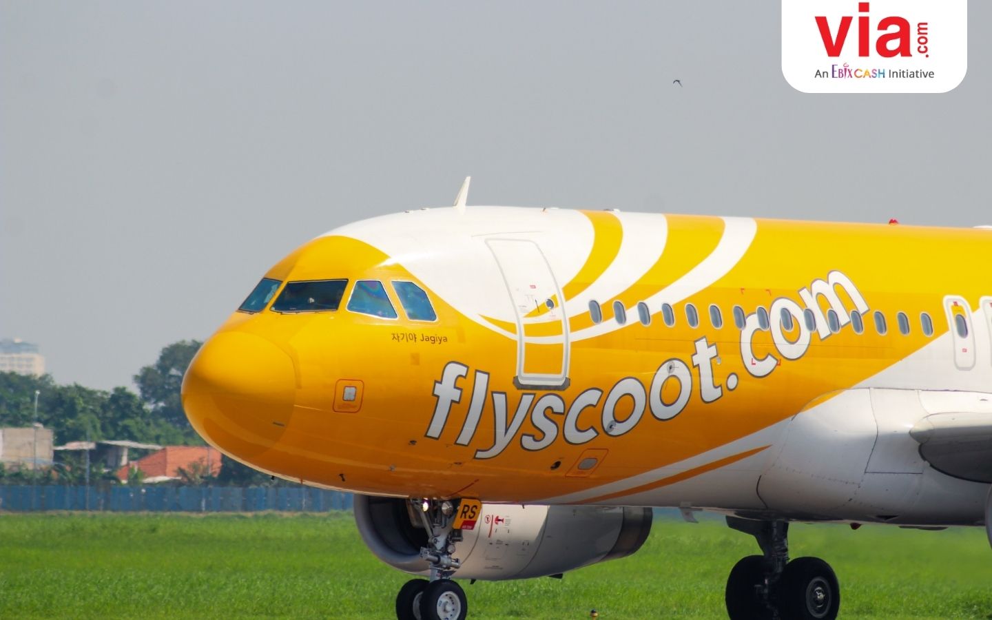 6 Keunggulan Scoot Airlines: Low-Cost Carrier Pilihan untuk Tamu Anda