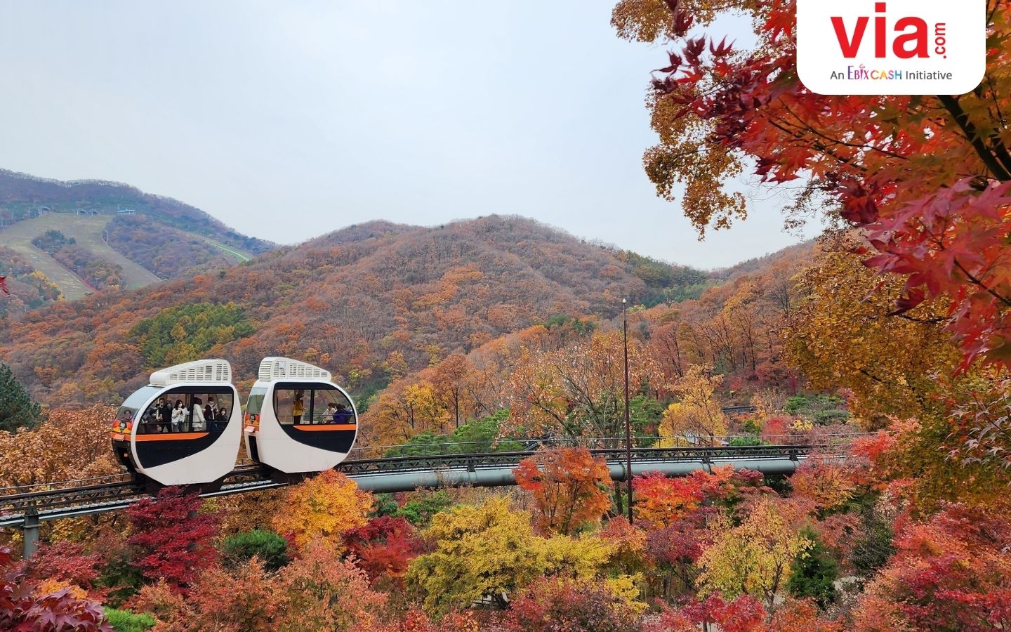 Ini Dia Indahnya Musim Gugur di Korea Selatan: Rekomendasi 4 Destinasi Cantik
