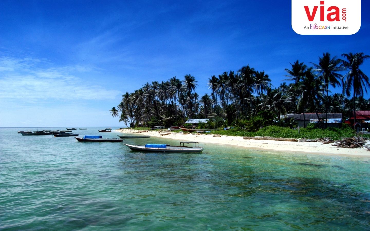 Jelajah Keindahan Laut Indonesia Bersama PELNI: 5 Destinasi Wisata Bahari yang Seru