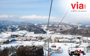 Alpensia Ski Resort, Korea Selatan