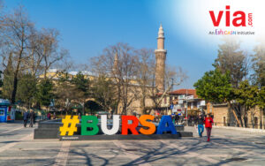 Bursa