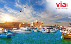 Alexandria